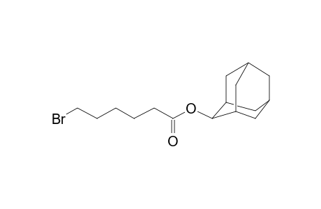 6-Bromohexanoic acid, 2-adamantyl ester