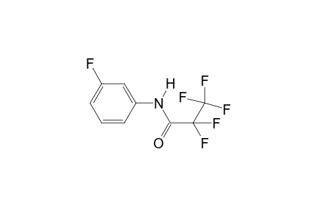 2,2,3,3,3-Pentafluoro-N-(3-fluorophenyl)propanamide