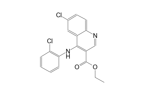 3-quinolinecarboxylic acid, 6-chloro-4-[(2-chlorophenyl)amino]-, ethyl ester