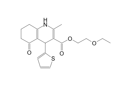 2-Ethoxyethyl 2-methyl-5-oxidanylidene-4-thiophen-2-yl-4,6,7,8-tetrahydro-1H-quinoline-3-carboxylate