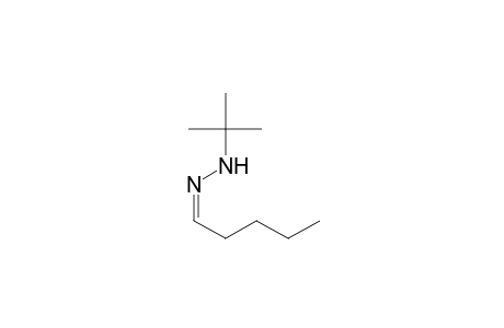 Pentanal, (1,1-dimethylethyl)hydrazone, (Z)-