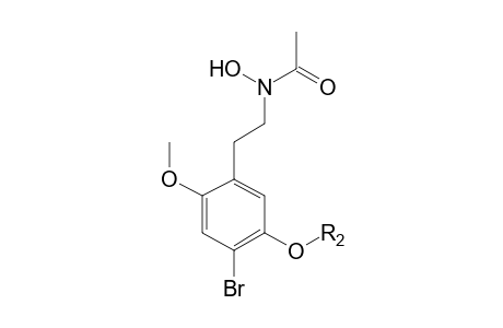 4-Bromo-2,5-dimethoxyphenylethylamine-M (O-demethyl-N-acetyl-sulfate-N-oxide) MS2