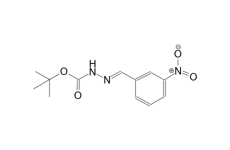 tert-butyl (2E)-2-(3-nitrobenzylidene)hydrazinecarboxylate