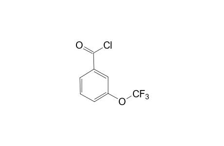 3-(Trifluoromethoxy)benzoyl chloride