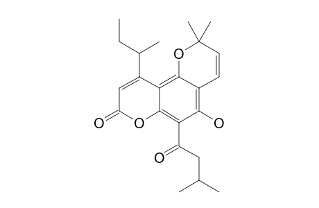 7-HYDROXY-8-(3-METHYL-1-OXOBUTYL)-4-S-BUTYL-6',6'-DIMETHYL-PYRANO-(2',3':5,6)-COUMARIN