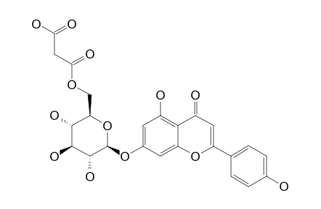 APIGENIN-7-O-GLUCOPYRANOSIDE-6''-O-MALONYLESTER