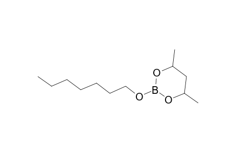 1,3,2-Dioxaborinane, 2-(heptyloxy)-4,6-dimethyl-
