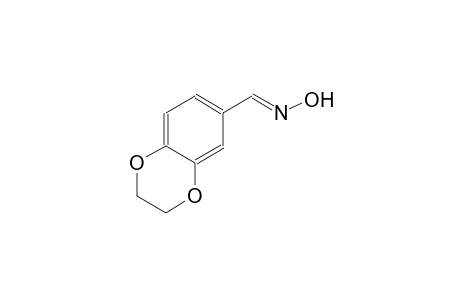 1,4-Benzodioxin-6-carboxaldehyde, 2,3-dihydro-, oxime