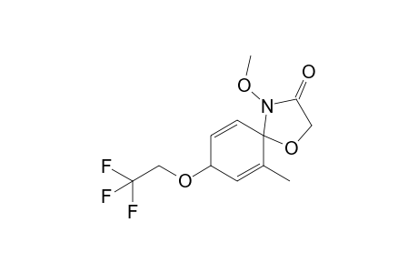 4-Methoxy-6-methyl-8-(2,2,2-trifluoroethoxy)-1-oxa-4-azaspiro[4.5]deca-6,9-dien-3-one