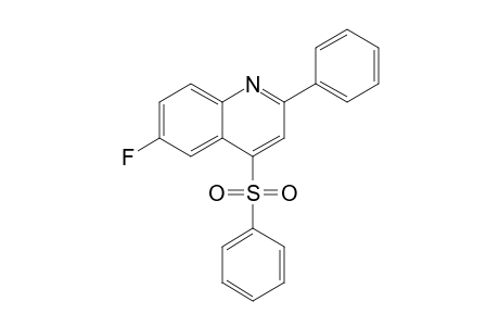 6-Fluoro-4-(phenyl)sulfonyl-2-phenylquinoline