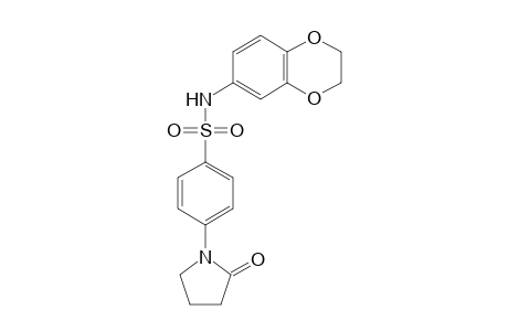 Benzenesulfonamide, N-(2,3-dihydrobenzo[1,4]dioxin-6-yl)-4-(2-oxopyrrolidin-1-yl)-