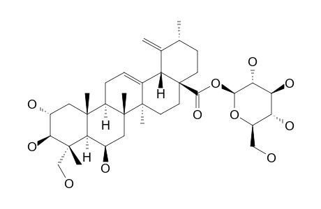 QUADRANOSIDE-VII;2-ALPHA,3-BETA,6-BETA,23-TETRAHYDROXY-URS-12,19(29)-DIEN-28-OIC-ACID-28-O-BETA-D-GLUCOPYRANOSIDE