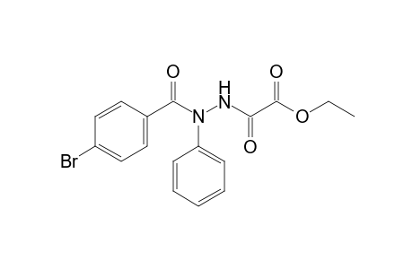 N-(p-Bromobenzoyl)-N'-ethoxyoxalyl phenylhydrazine