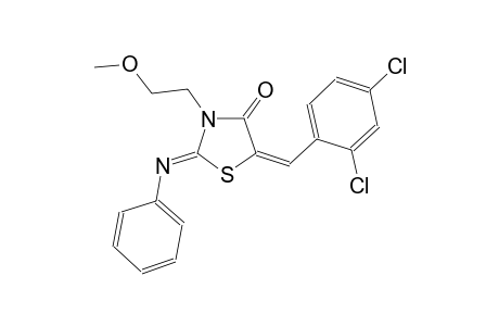 (2Z,5E)-5-(2,4-dichlorobenzylidene)-3-(2-methoxyethyl)-2-(phenylimino)-1,3-thiazolidin-4-one
