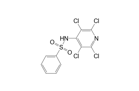 Benzenesulfonamide, N-(2,3,5,6-tetrachloro-4-pyridyl) -