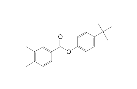 3,4-Dimethyl-benzoic acid 4-tert-butyl-phenyl ester
