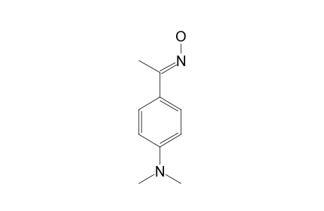 ACETO-P-DIMETHYLAMINOFENONOXIME