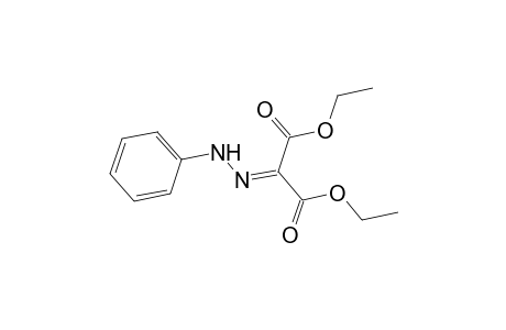 Propanedioic acid, (phenylhydrazono)-, diethyl ester