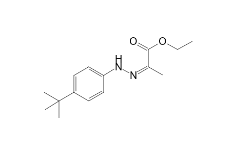 Ethyl (2Z)-2-[(4-tert-butylphenyl)hydrazono]propanoate