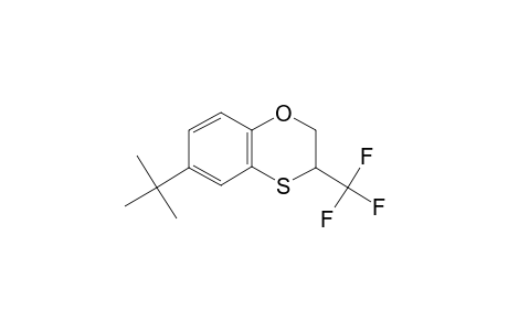 6-tert-Butyl-3-(trifluoromethyl)-2,3-dihydro-1,4-benzoxathiine
