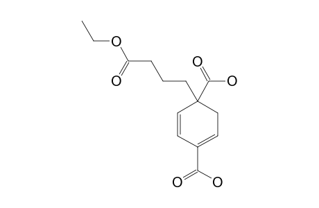 4-(4-ETHOXY-4-OXOBUTYL)-CYCLOHEXA-1,3-DIENE-1,4-DICARBOXYLIC-ACID