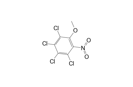 Benzene, 1,2,3,4-tetrachloro-5-methoxy-6-nitro-