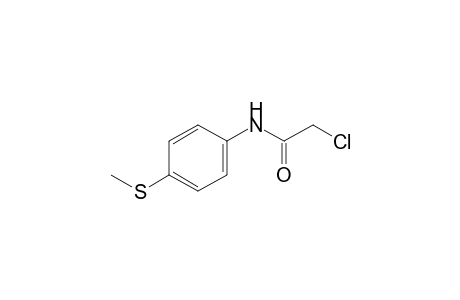 2-chloro-4'-(methylthio)acetanilide