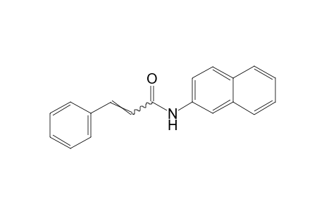 N-2-Naphthylcinnamamide