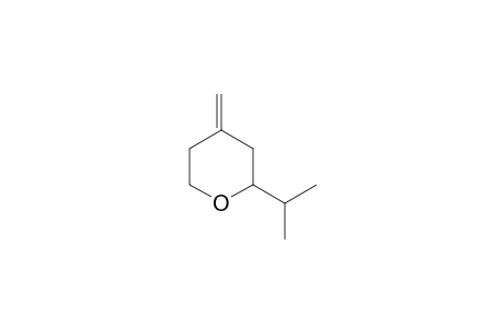 2-Isopropyl-4-methylenetetrahydropyran