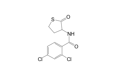 2,4-Dichloro-N-(2-oxotetrahydro-3-thienyl)benzamide