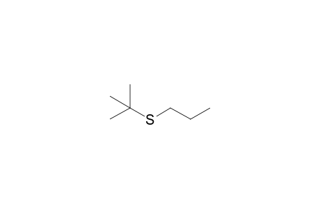 2-Methyl-2-(propylsulfanyl)propane