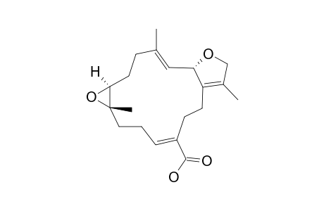 (+)-12-CARBOXY-11-(Z)-SARCOOHYTOXIDE