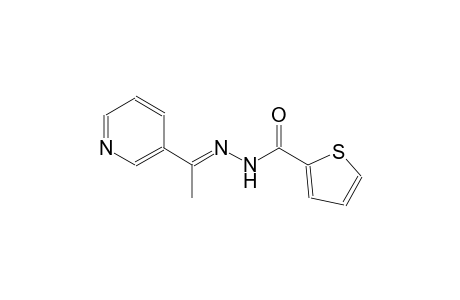 2-thiophenecarboxylic acid, 2-[(E)-1-(3-pyridinyl)ethylidene]hydrazide