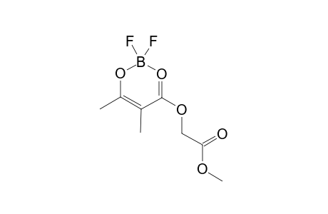 2,2-Difluoro-4-[(methoxycarbonyl)methoxy]-5,6-dimethyl-1,3,2-dioxaborinane