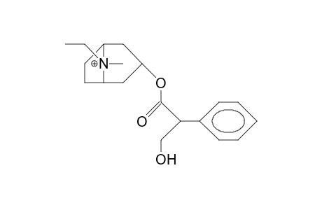 N-Ethyl-atropinium cation (anti-ethyl)