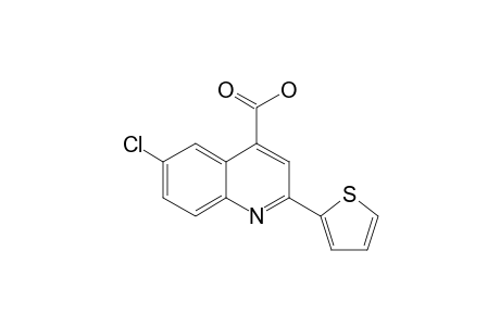 2-[2-Thienyl]-6-chlorocinchoninic acid