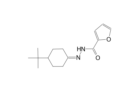 N'-(4-tert-butylcyclohexylidene)-2-furohydrazide