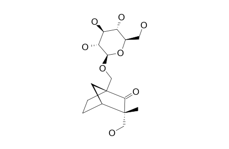 (1R,3S,4R)-9,10-DIHYDROXYFENCHONE-10-O-BETA-D-GLUCOPYRANOSIDE