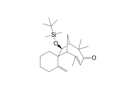 rac[1R,1'R,6'R,8'R]-Spiro{2-Methylenocyclohexane-1,7'-8'-[(tert-butyldimethylsilyl)oxy]-2',5',5'-trimethylbicyclo[4.2.1]nona-4'-en-3'-one}