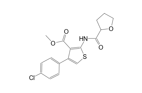methyl 4-(4-chlorophenyl)-2-[(tetrahydro-2-furanylcarbonyl)amino]-3-thiophenecarboxylate