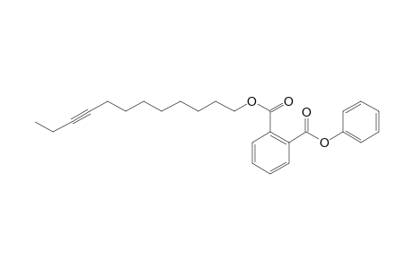 Phthalic acid, dodec-9-yn-1-yl phenyl ester