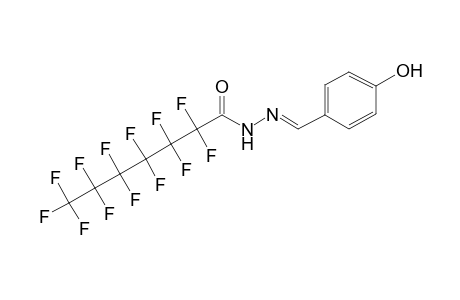 2,2,3,3,4,4,5,5,6,6,7,7,7-Tridecafluoro-heptanoic acid (4-hydroxy-benzylidene)-hydrazide