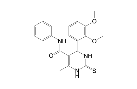 1,2,3,4-Tetrahydro-6-methyl-4-(2,3-methoxyphenyl)-2-thio-oxo-N-phenylpyrimidine-5-carboxamide