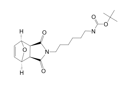N-(TERT.-BUTYLHEXYLCARBAMATE)-7-OXABICYCLO-[2.2.1]-HEPT-5-ENE-EXO-2,3-DICARBOXIMIDE