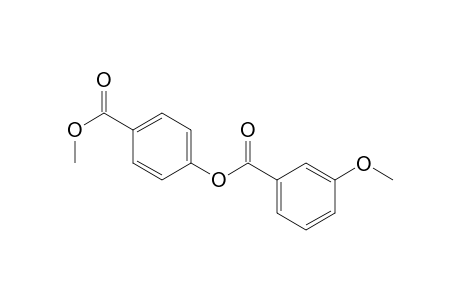 3-Methoxybenzoic acid (4-carbomethoxyphenyl) ester