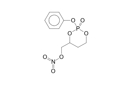 1,3,2-Dioxaphosphorinane, 4-(nitroxymethyl)-2-oxo-2-phenoxy-