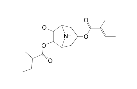 3-Tigloyloxy-6-isovaleroyloxy-7-hydroxytropane