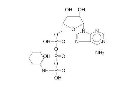 ADENOSINE-5'-TRIPHOSPHATE, CYCLOHEXYLAMIDE