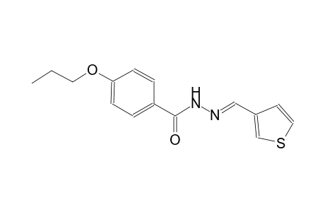 4-propoxy-N'-[(E)-3-thienylmethylidene]benzohydrazide