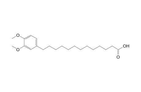 13-(3,4-dimethoxyphenyl)tridecanoic acid